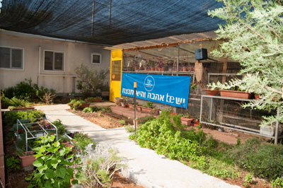 בתי ספר לילדים עם מוגבלות שכלית התפתחותית