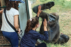 בית הספר ספארי רמת גן