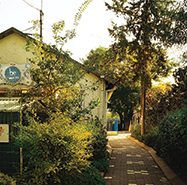 תיכון לאומנויות בית אקשטיין, יד רמבם